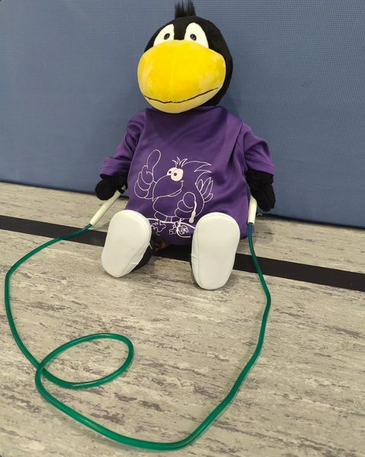 Rabe Rope Skipping